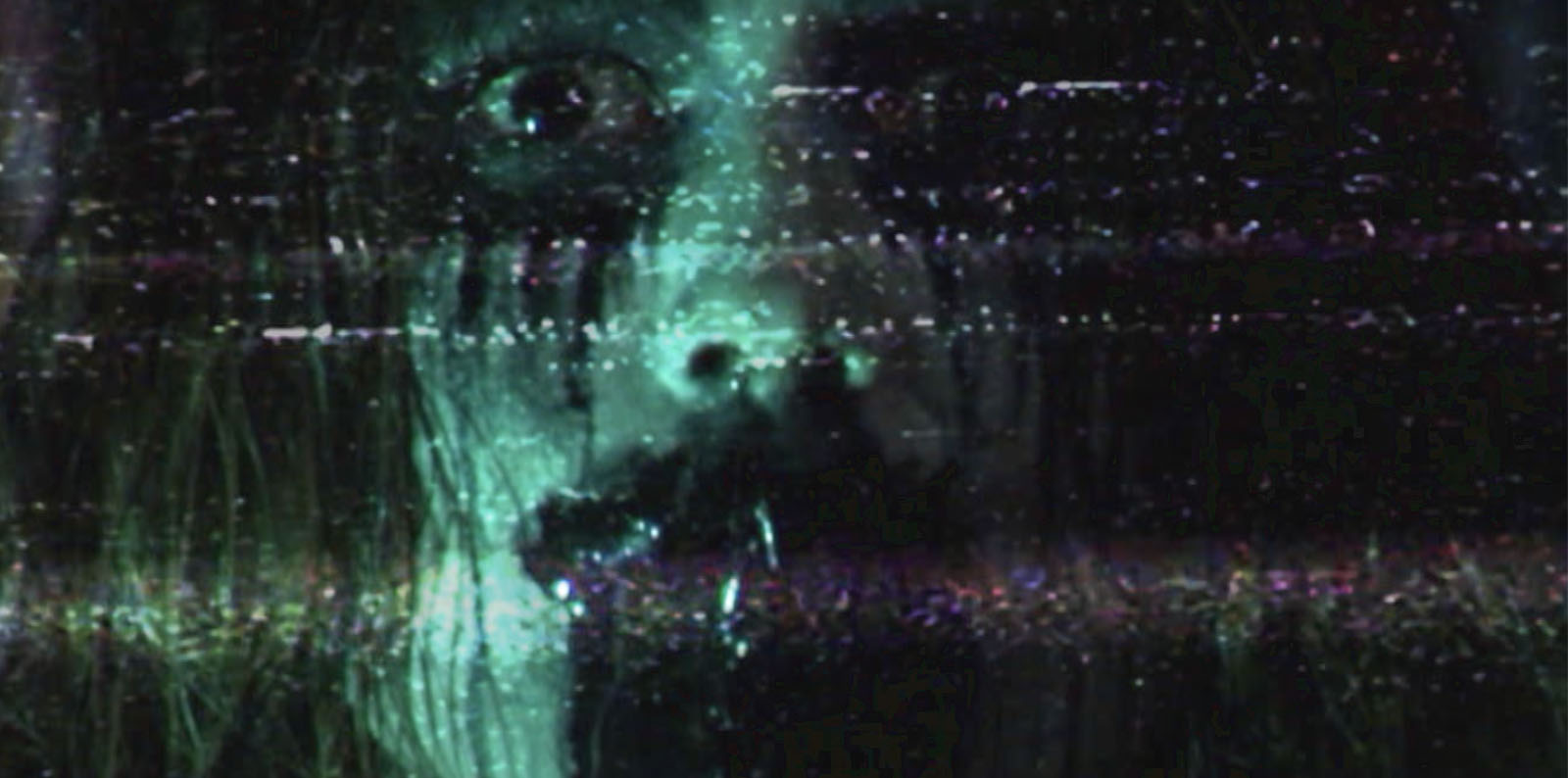 NIGHTMARE ON ELM STREET (DVD) image