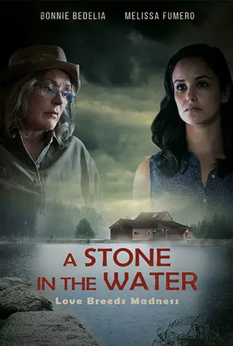 REVIEW-A-Stone-In-The-Water-3 Image