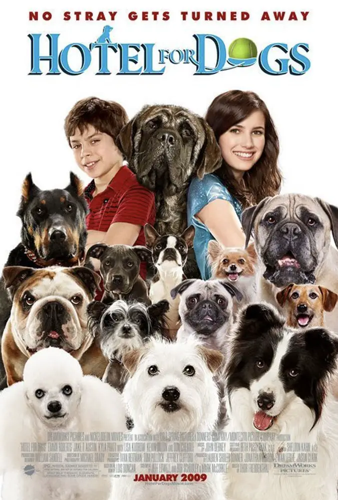 REVIEW-Hotel-For-Dogs-4 Image
