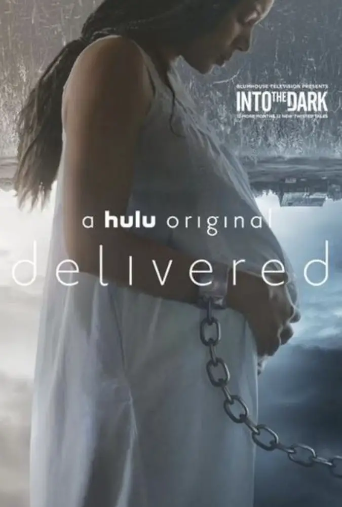 REVIEW-Into-The-Dark-Delivered-3 Image