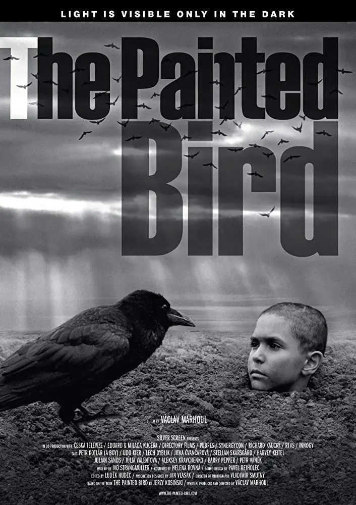 REVIEW-The-Painted-Bird-4 Image