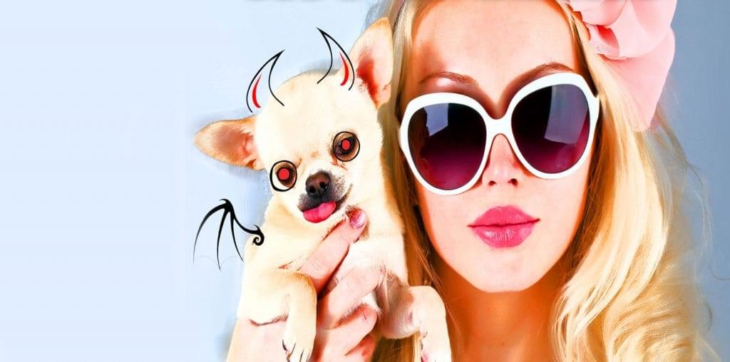 He Was Asking For It image