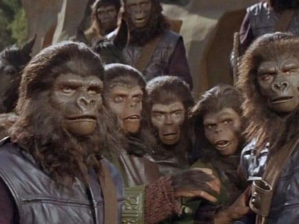charlton heston planet of the apes damn you all to hell