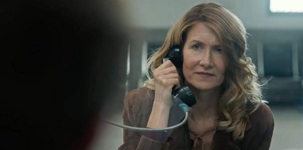 Laura Dern Talks Death Penalty Reform in Trial By Fire image