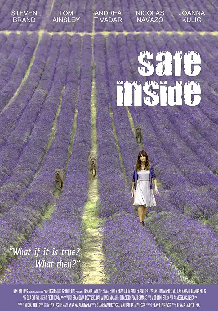 Safe Inside Image