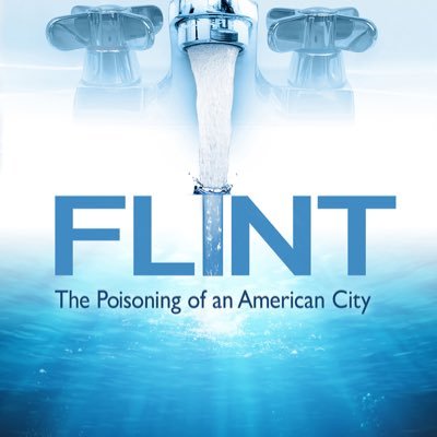  Flint: The Poisoning of an American City Image
