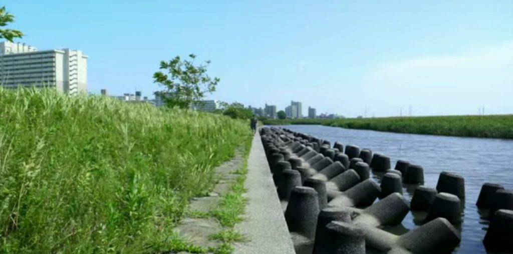 Shell and Joint image