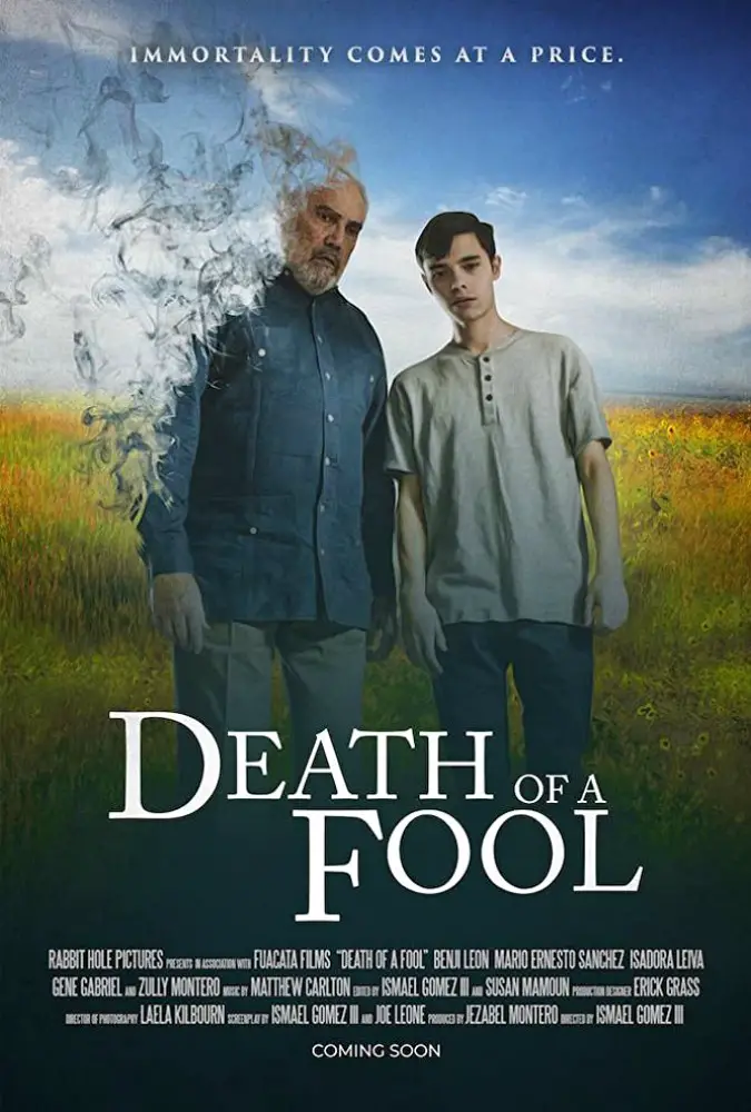 Death Of A Fool Image