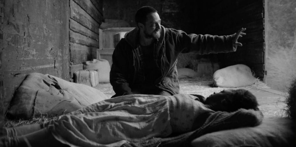 Fugitive Dreams image