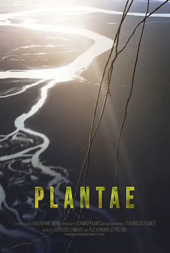 Plantae Image