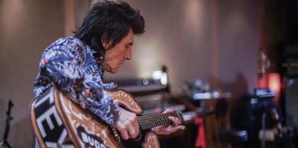 Ronnie Wood: Somebody Up There Likes Me image