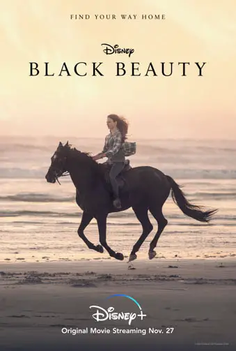 Black Beauty Image