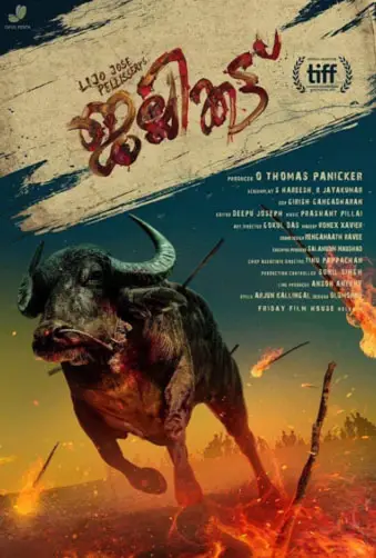 Jallikattu Image