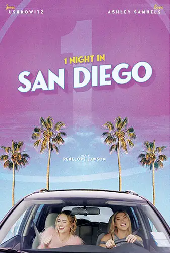 1 Night In San Diego Image