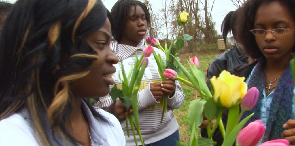 Anatomy of Wings image