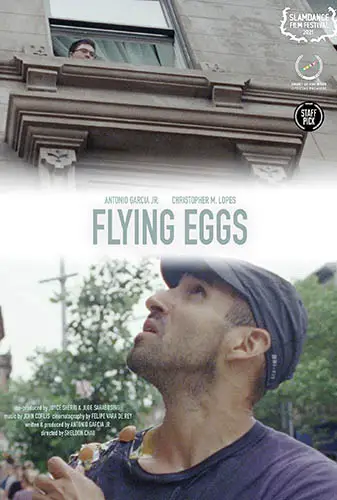 Flying Eggs Image