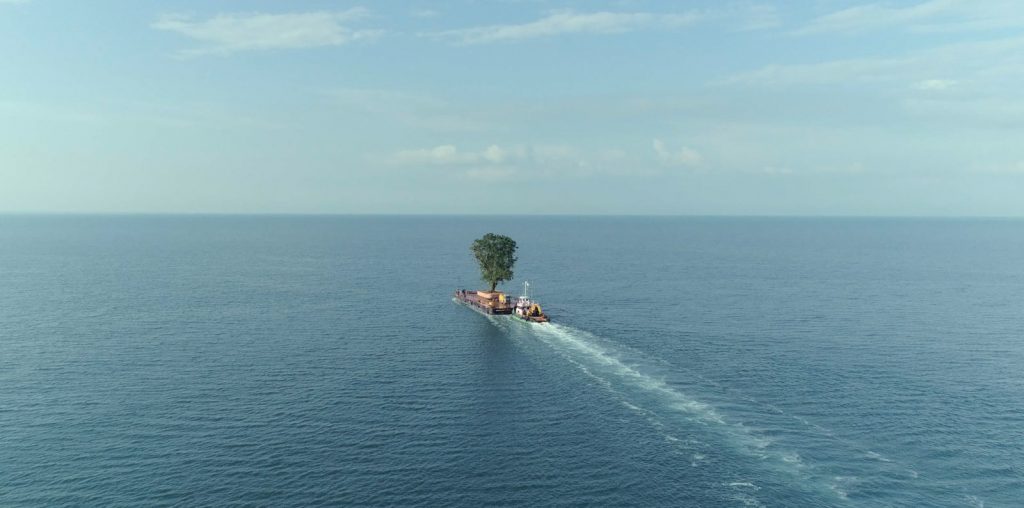 Taming the Garden image