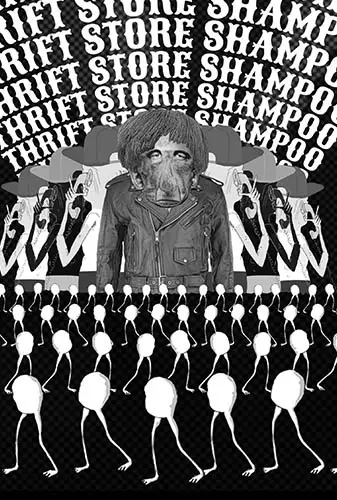 Thrift Store Shampoo Image