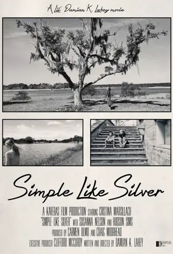 Simple Like Silver Image