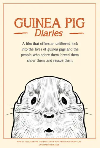 Guinea Pig Diaries Image