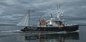 Downeast Image