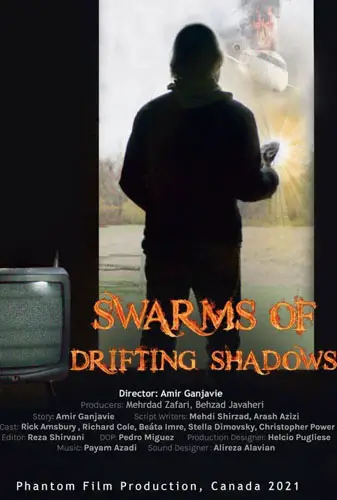 Swarms Of Drifting Shadows Image
