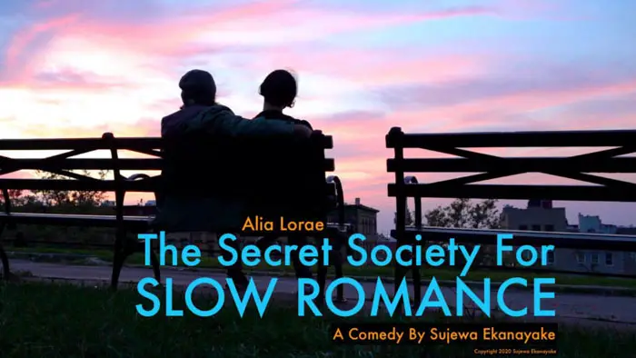 The Secret Society for Slow Romance Image