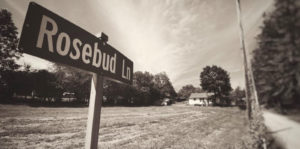 Rosebud Lane Image