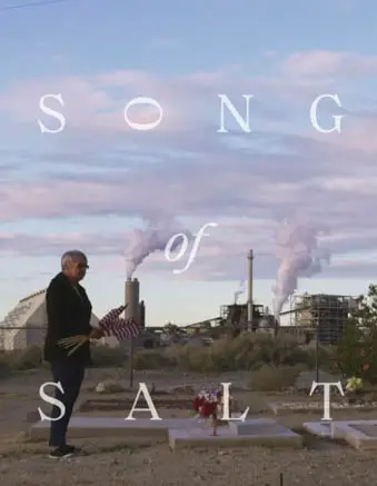 Song Of Salt Image