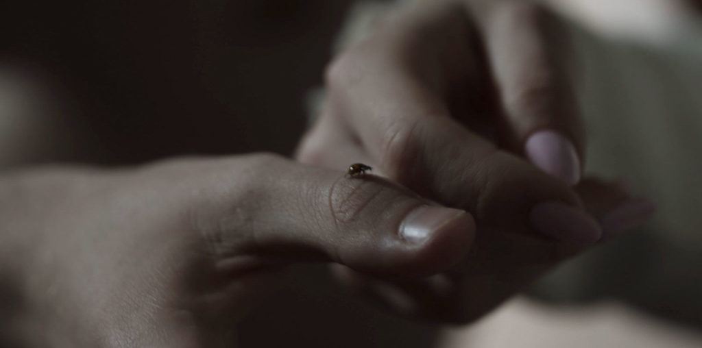 Love With Black Spots image