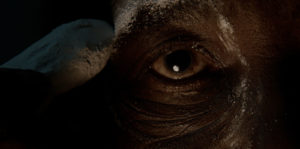 NZU Image