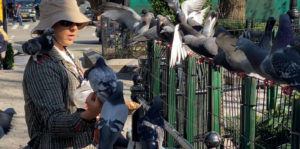 Looking For Home Image