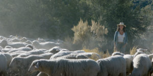 Shepherd’s Song Image