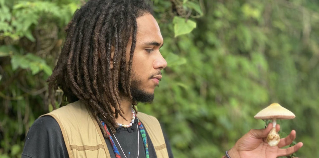 The Fungal Fortunes of William Padilla-Brown image