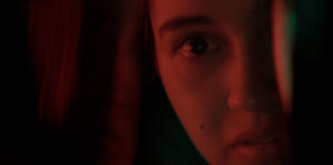 The Red Suitcase Image