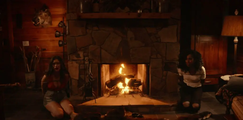Adult Swim Yule Log (The Fireplace) image