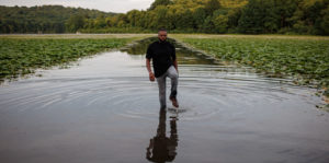 Folded Whispers Image