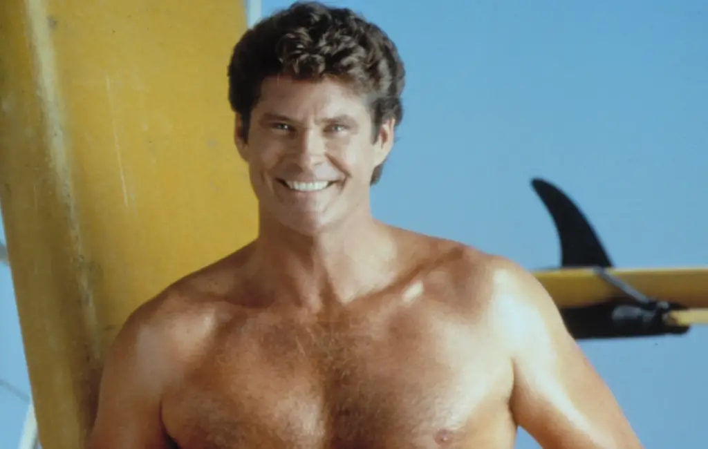 Four Facts About David Hasselhoff You Never Knew image