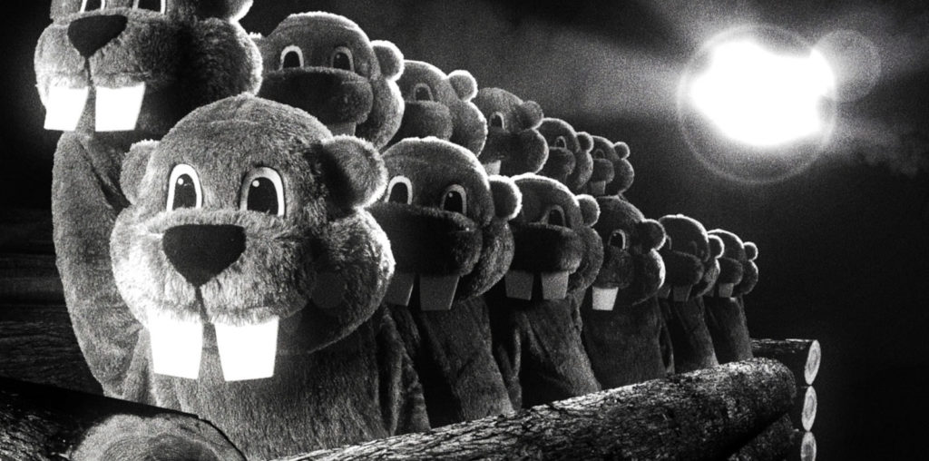 Hundreds of Beavers image