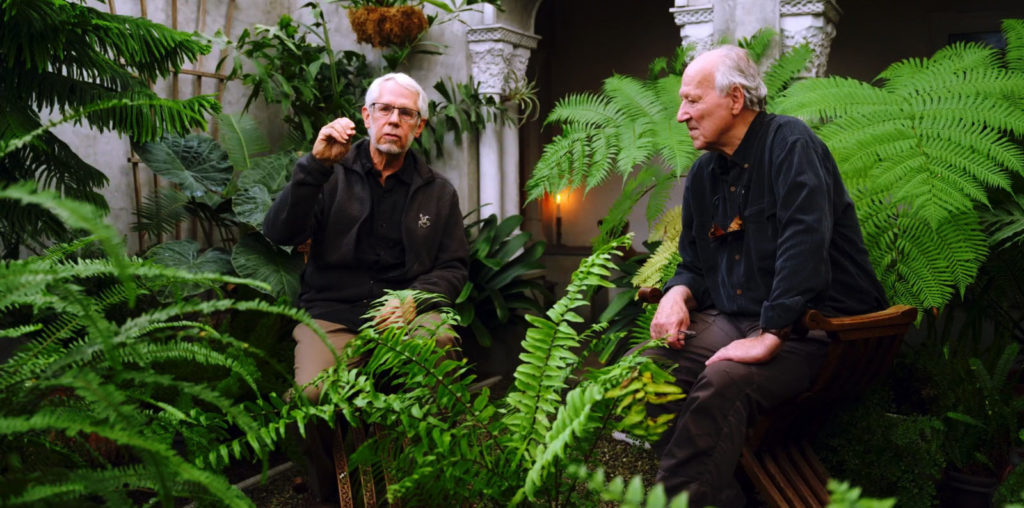 Werner Herzog – Radical Dreamer image