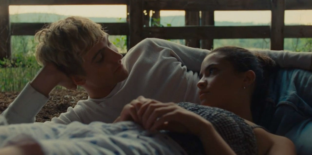 American Cherry image