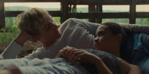 American Cherry Image