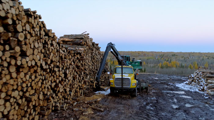 Necessity: A Two-Part Documentary Series Image