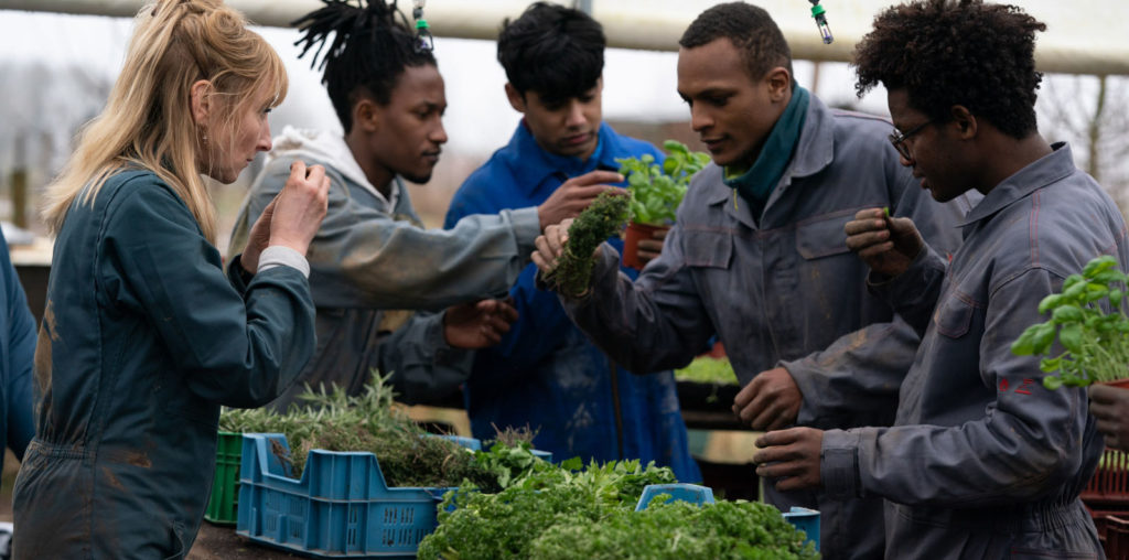 Kitchen Brigade image