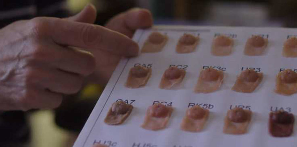 Mom and Dad’s Nipple Factory image