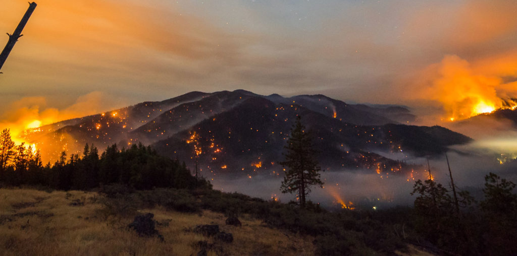 Elemental: Reimagine Wildfire image