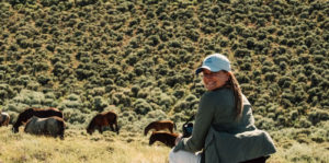 Wild Beauty: Mustang Spirit Of The West Image