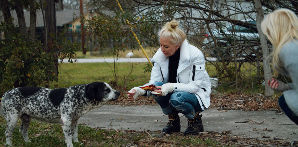 For the Animals image