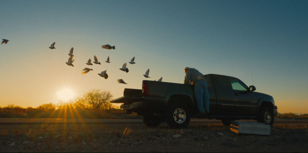 The Pigeon People image