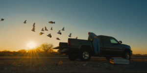 The Pigeon People Image